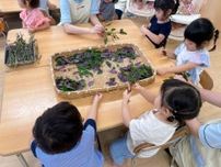 金沢の保育園で加賀野菜「金時草」の食育体験　園児が五感で楽しむ