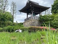 港北経済新聞上半期PVトップは都筑のハナショウブ開花のニュース