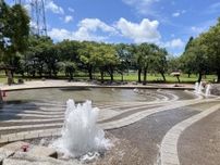 北柏ふるさと公園の「じゃぶじゃぶ池」が1日限りの夜間開放