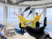 アクアワールド大洗で夏イベント　すみっコぐらしコラボも3年連続開催へ