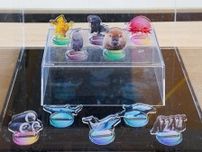 「仙台うみの杜水族館」10周年　記念企画展開、スタッフユニホーム一新も
