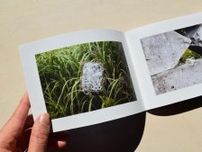 藤沢・名店ビルで「アートの本屋 メイテン」　50人のZINEを展示販売