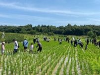 みよし・福谷町で「自然観察会」　街なかに残る自然に触れる