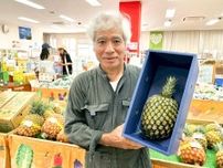 本部でパインブランド「もとぶかりゆしゴールド」出荷式　今年は60トン生産