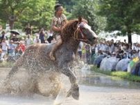 「御田祭」、人馬一体で豊穣祈る 　宮崎・美郷で田植え神事