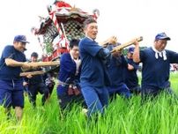田んぼや公民館みこし練り歩く　綾ふるさと夏まつり