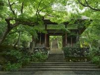 「そうだ 京都、行こう。」 青もみじ、すだれ越しの光、ひんやり縁側…“しつらえの美”で心を整える、初夏の京都旅スポットを巡ってみた