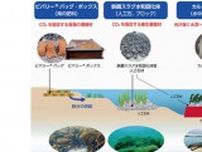 日本製鉄が取り組む鉄の副産物による「海の森づくり」とは？