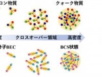 中性子星の内部構造解明へ　“極限状態のクロスオーバー”新理論を東大ら提唱