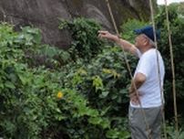 「寝ていたら助からなかった」　家の壁を突き破った濁流…中３で被災した男性の記憶　諫早大水害から６８年