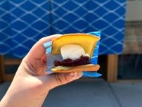 皆生温泉街にオープンしたどら焼き店。アイスを挟んだ夏にぴったりの新ひんやりメニューが登場｜鳥取県米子市