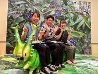 １万点の標本がずらり！夏休みにぴったりな昆虫だらけの企画展。体験ブースで大人も子どもも楽しめる！|鳥取市