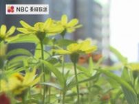 佐世保 高1同級生殺害事件から11年  児童相談所 事件の教訓を継承