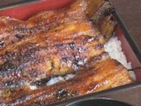「うなぎ」の価格は？　7月19日は「土用の丑の日」　今年は稚魚が豊漁も…「前年のもので、まだまだ高いです」