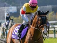 【函館記念枠順確定】アルナシームは6枠9番、マコトヴェリーキーは8枠13番