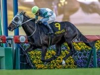 【今日の注目ポイント】青函SでペアポルックスがOP2勝目を狙う