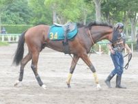 叔父にクロワデュノールがいるタイダルロック 武井師「心肺機能が高いし、体力も十分」/関東馬メイクデビュー情報