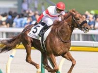 セレクトセール歴代購入価格歴代1位 ダノックスが落札した名馬たち