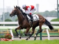 【函館5R新馬戦結果】ショウナンガルフが7馬身差V ハービンジャー産駒の2億円ホース