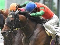 「ステイゴールド産駒」のマイネルヴァッサー JRA史上最高齢勝利記録なるか
