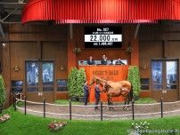 【セレクトセール2025】矢作師「目標はダービー」 2.2億円で落札されたキタサンブラック半弟に期待語る