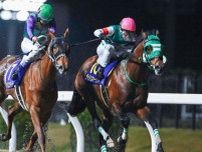 【盛岡・マーキュリーC枠順】川崎所属のライトウォーリアは1枠1番