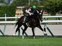 【関ケ原S】1番人気の好走率高め 母の父キングマンボ系に注目