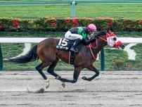 【東海S想定騎手】ビダーヤは坂井瑠星騎手、ヤマニンウルスは武豊騎手