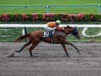 【盛岡・マーキュリーC注目馬】実力拮抗のメンバーがみちのくで激突