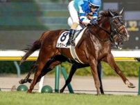 【関屋記念予想】AIは妙味十分な一頭をチョイス 不安要素も少なく狙いめか