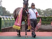 【アイビスSD】モズメイメイ、ウイングレイテストらが登録
