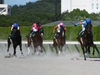 【東海S】売上は46億9636万4500円で昨年のプロキオンSより約6.4億円減少