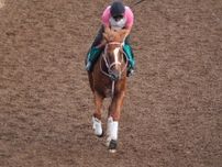 母系には南部杯連覇のベストウォーリア 師も期待を寄せるケンタッキーホーム/関西馬メイクデビュー情報