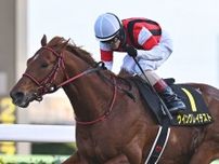 【AI予想・アイビスSD】「夏は牝馬」の格言が通用する重賞！ 本命候補はスピード能力に秀でた3頭
