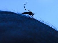 殺虫剤が効かない“新種”も出現…ウイルス媒介の蚊の生息域拡大【猛暑で気になる「次のパンデミック」】#3