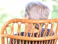 「脳の陰の支配者」グリア細胞はアルツハイマー病にどう関わっているのか【長寿研究のいまを知る 実践編】