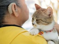 補聴器と間違って「集音器」を購入する【補聴器を使い続けられない4つの理由】#2