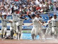 ふなっしー「おめでとうなっしー」３年ぶり７度目甲子園の市船橋を祝福　船橋市の非公認キャラ