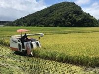 早場米出荷価格、昨年比で8割高に　JAみやざき、普通期の先行指標に