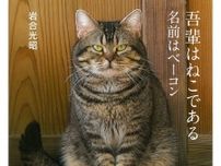 10歳〝名役者猫〟の死に悲しみの声、放送中NHK人気ドラマでも活躍「大役を果たされ…」「存在感のあるネコさんでした」