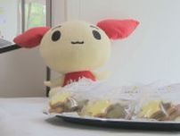 手作り“七夕クッキー”で献血呼びかけ！新潟県内“若い世代の献血者数”10年間で2万5000人以上減