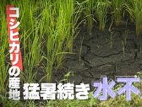 「一等米作るのは大変」