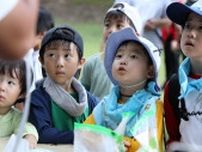 夜の森にカナブンやセミ…夏休み昆虫観察会　大分