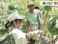岡山市南区の大規模山林火災で倉庫や大事な種を失うも…苦難乗り越えた農園でスイカを味わえる喜び【岡山】