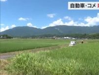 日米関税交渉合意　関税１５％にコメ輸入割合増に自動車部品メーカーそして農家は…地元の反応　岡山・香川