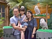 フクロウと写真撮影・ナマケモノに餌やり　沖縄・豊見城市のDMMかりゆし水族館に新エリア　8月31日まで「県民割」