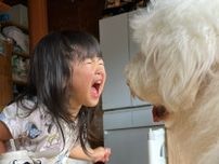 「元気すぎて尊いバトル」どデカい犬とケンカする3歳女児の“顔”が「魂で戦ってる」　普段の様子を母親に聞いた