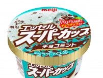 “明治スーパーカップ”　チョコミントが2年ぶりに発売　チョコチップでアクセントをプラス