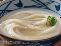【丸亀製麺】夏の新作「冷たーい旨塩うどん」期間限定発売！　初の《塩だし》を使った「海苔」「海鮮」選べる全3種