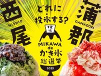 氷菓の評価おたのもうす！　おいしさと映え度で投票しエリアNo.1を決める総選挙